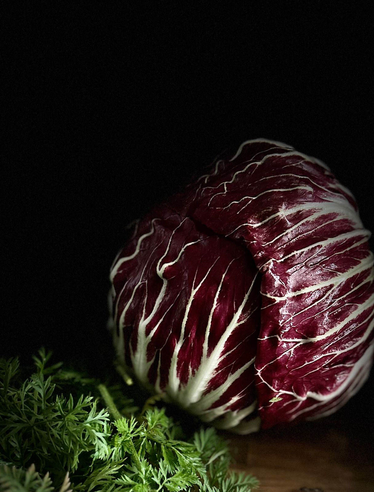Radicchio fresco sobre fondo oscuro